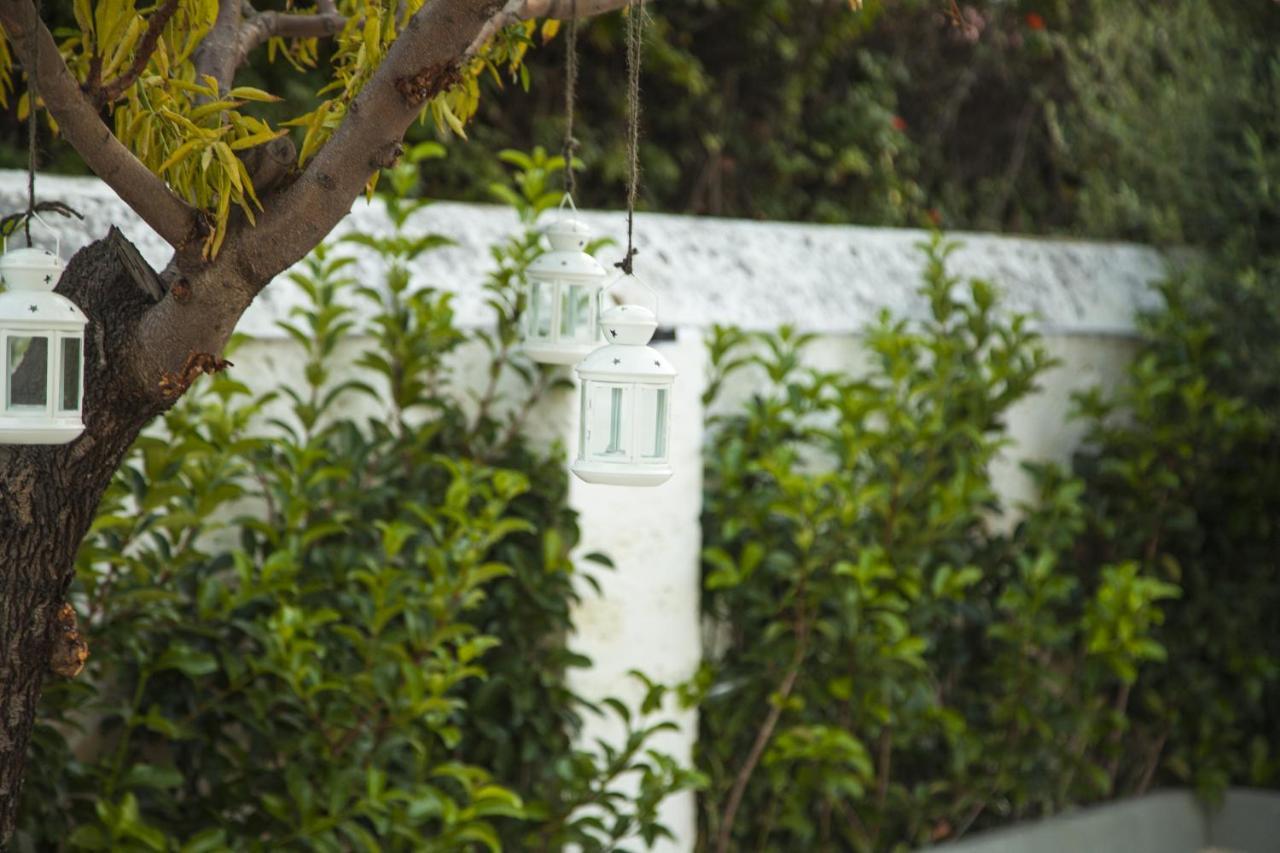 Villa Adelaide Suite & Room Torre A Mare Bagian luar foto